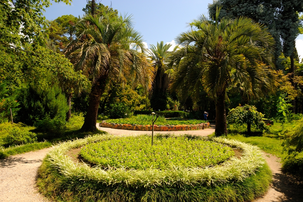 Ботанический сад. Сухум в Абхазии